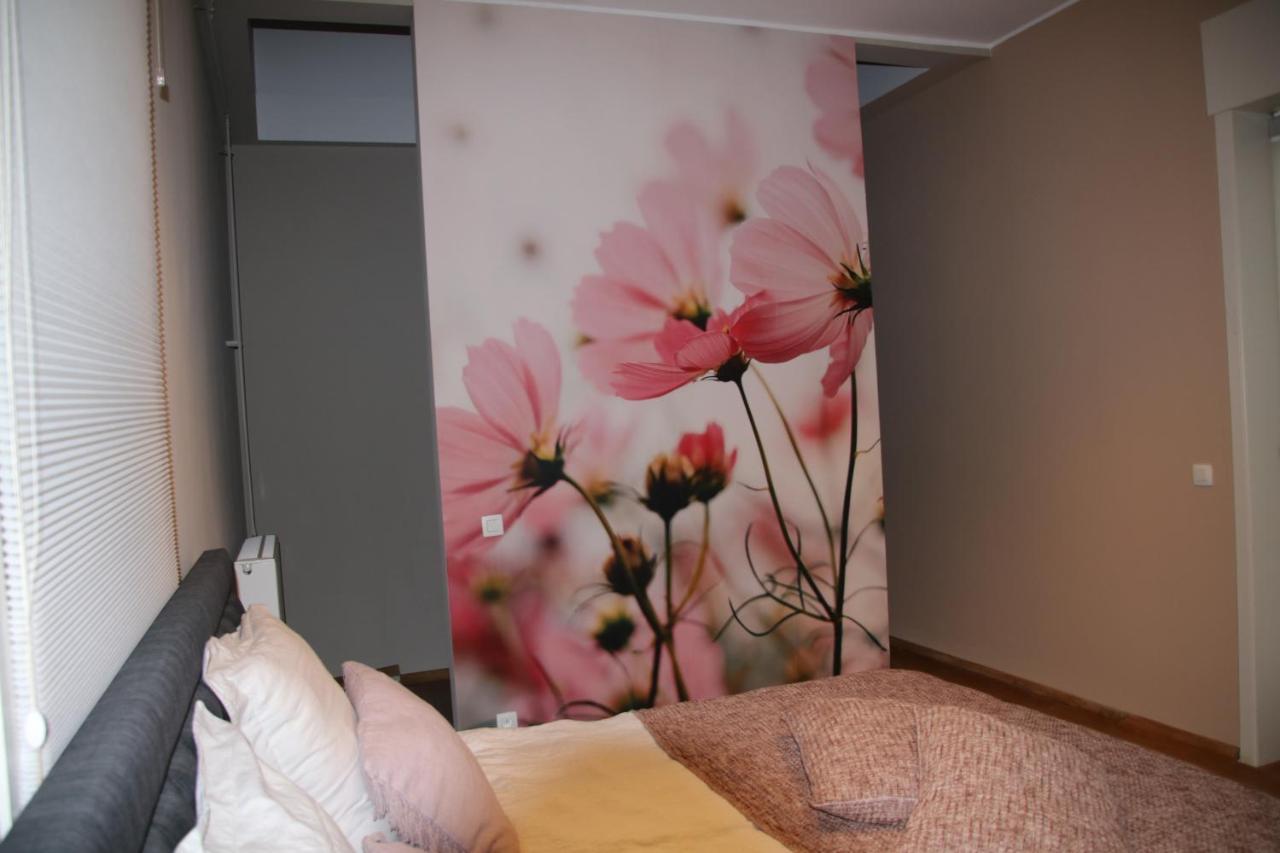 Kinrooi B&B Het Doctershoes المظهر الخارجي الصورة