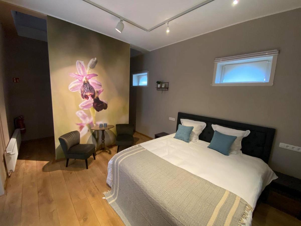 Kinrooi B&B Het Doctershoes المظهر الخارجي الصورة