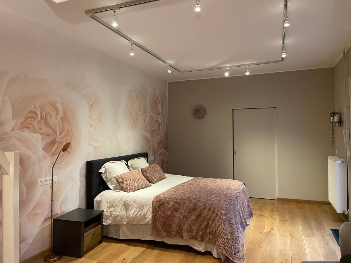 Kinrooi B&B Het Doctershoes المظهر الخارجي الصورة